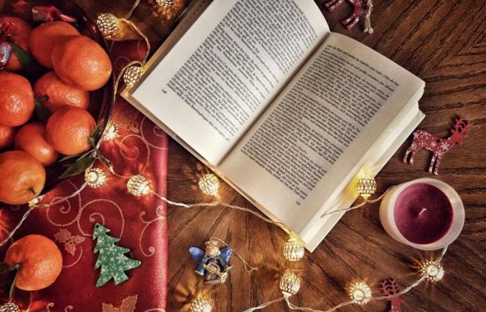 Passez un joyeux Noël, avec 12 livres des éditions Scrinéo