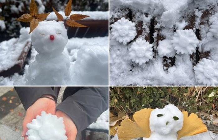 De fortes chutes de neige transforment la Corée en pays des merveilles hivernales — en images