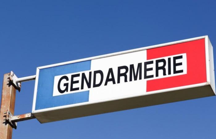 Un homme interpellé à Grenoble, soupçonné d’être impliqué dans l’affaire des “disparus de l’Isère”.