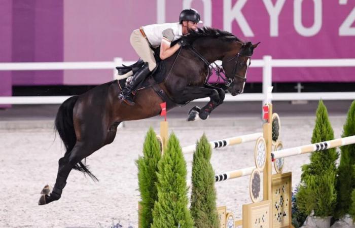 Fin de carrière sportive pour Quel Homme de Hûs, le cheval de Jérôme Guéry