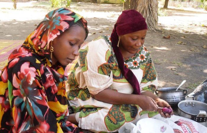 Art’zimut zoom sur le Tchad avec musique, histoires et repas