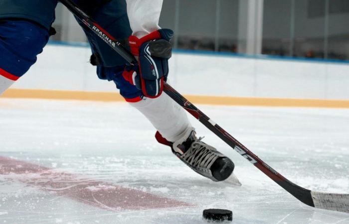 l’enfant a été tué après avoir été touché par une rondelle de hockey, le club et la patinoire condamnés