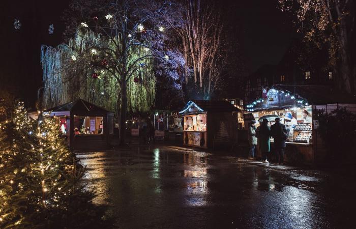 Les 10 commandements pour survivre au marché de Noël de Strasbourg, édition 2024