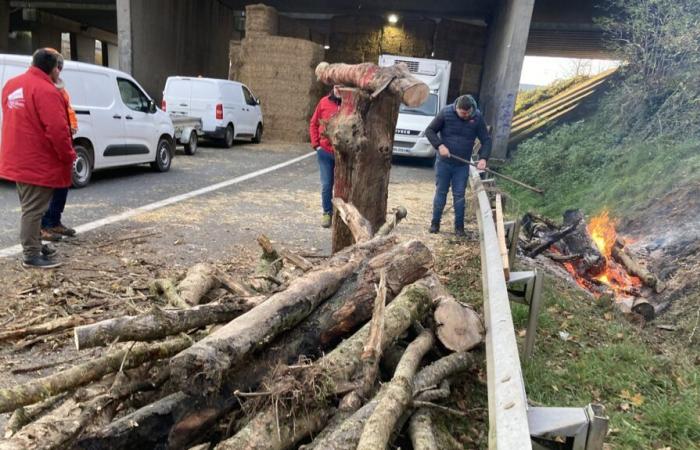 DIRECT. La colère du monde agricole ne faiblit pas en Val de Loire et en Poitou