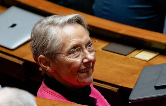 les députés ont voté pour le rejet de l’accord commercial, pas Elisabeth Borne qui a appuyé sur le mauvais bouton