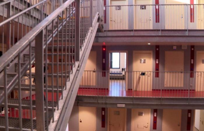 un prisonnier sur 20 libéré plus tôt que prévu