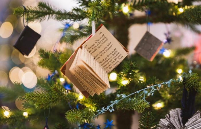 15 beaux livres à offrir à Noël 2024