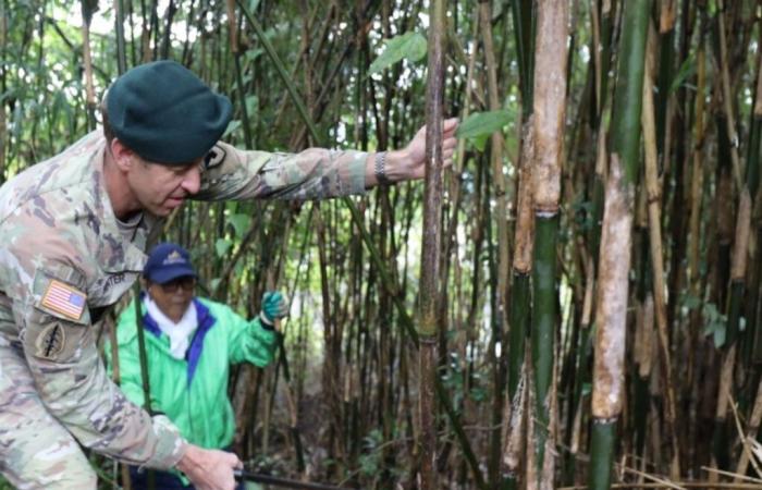 USAG Japon aide une organisation locale à récolter du bambou pour soutenir la préservation de la culture japonaise > US Indo-Pacific Command > News Article View