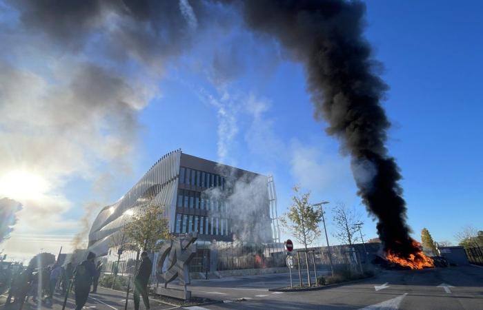 GARD Agriculture : quatre raisons de démontrer