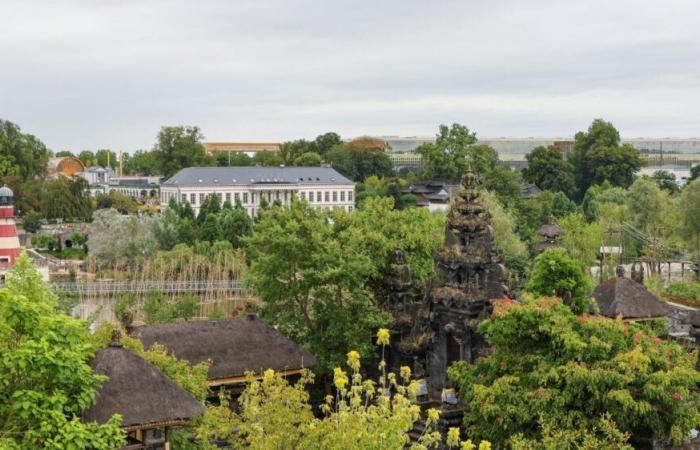 Belgique. Trois animaux sont arrivés dans l’immense parc Pairi Daiza mais vous ne les verrez probablement pas