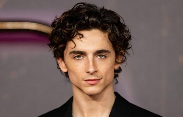 Timothée Chalamet aurait pu jouer dans Gladiator 2, mais Ridley Scott en a décidé autrement après avoir vu cette série