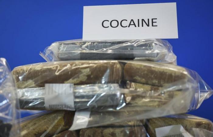 La police arrête un véhicule utilitaire suspect et découvre une quantité astronomique de cocaïne