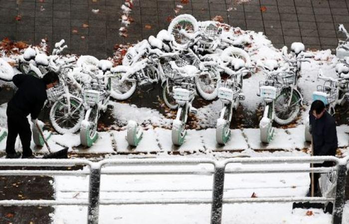 De fortes chutes de neige transforment la Corée en pays des merveilles hivernales — en images