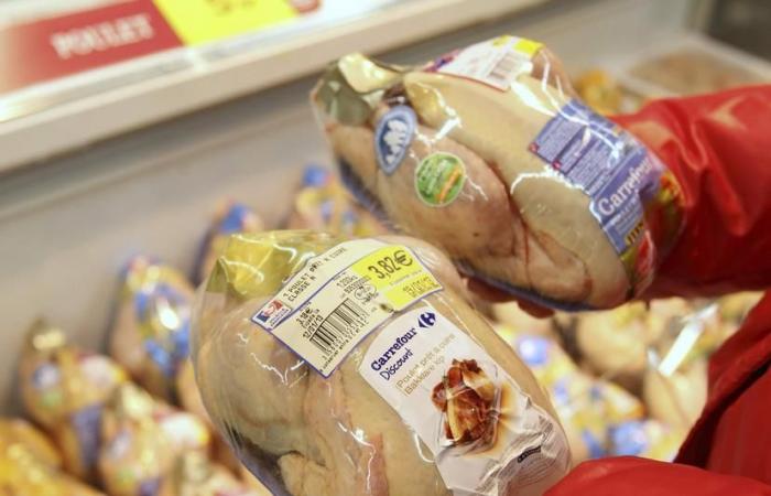 Dans le poulet prêt à cuire, la baisse des prix ne suffit pas à relancer les achats