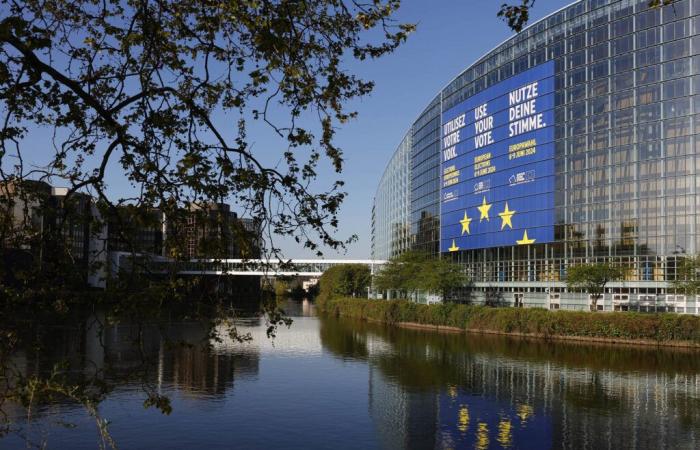 Manifestation anti-israélienne à Strasbourg – The Times of Israël