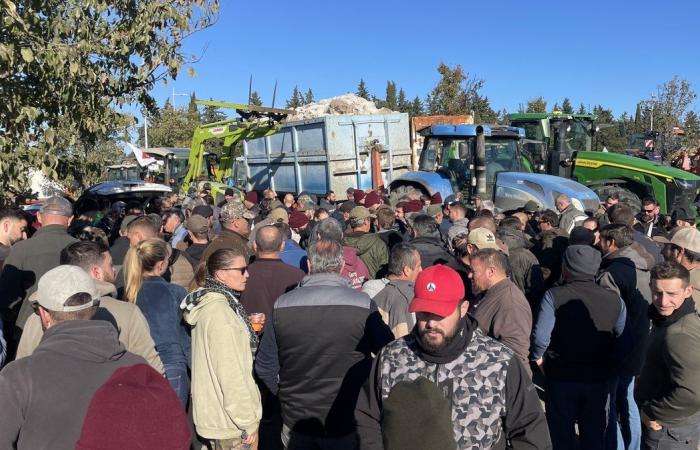 GARD Agriculture : quatre raisons de démontrer