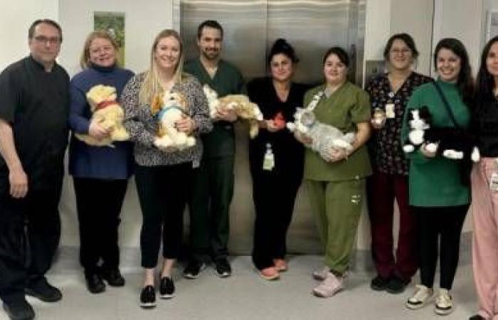 Des animaux robotisés à l’Hôpital Montmagny