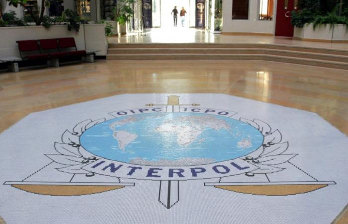 Opération record d’Interpol contre les escroqueries en ligne