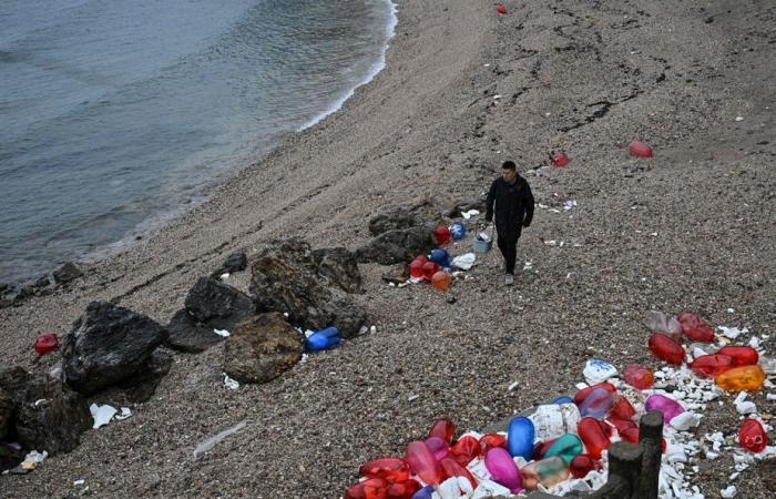 Îles Miaodao chinoises | Des déchets plastiques recyclés en œuvres d’art