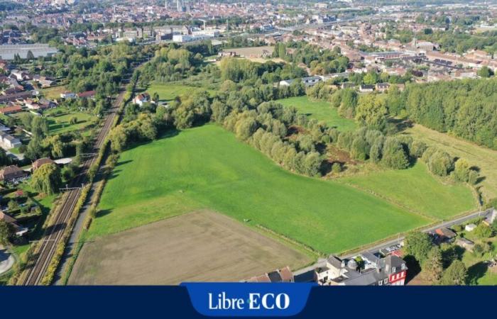 Les maisons situées dans les zones inondables en Wallonie sont moins chères