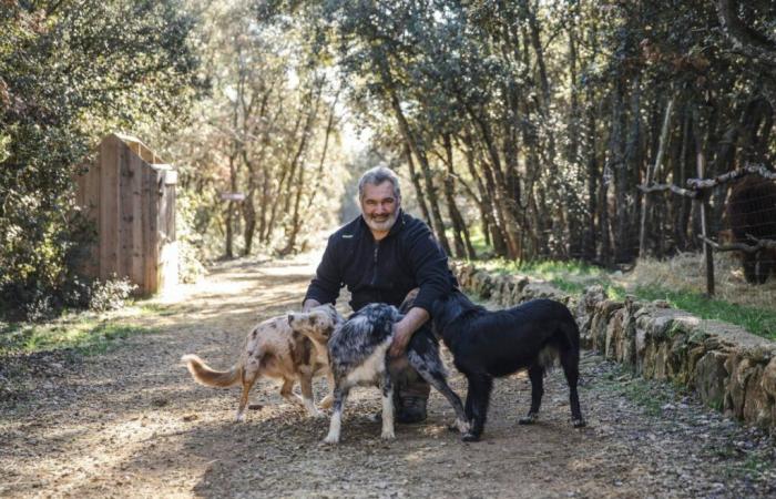 Les anciens candidats de l’émission “L’Amour est dans le pré” participent à ce marché de Noël dans le Var