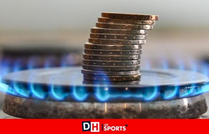 les prix du gaz continuent de grimper sur les marchés, voici la meilleure option pour choisir entre un contrat fixe et variable