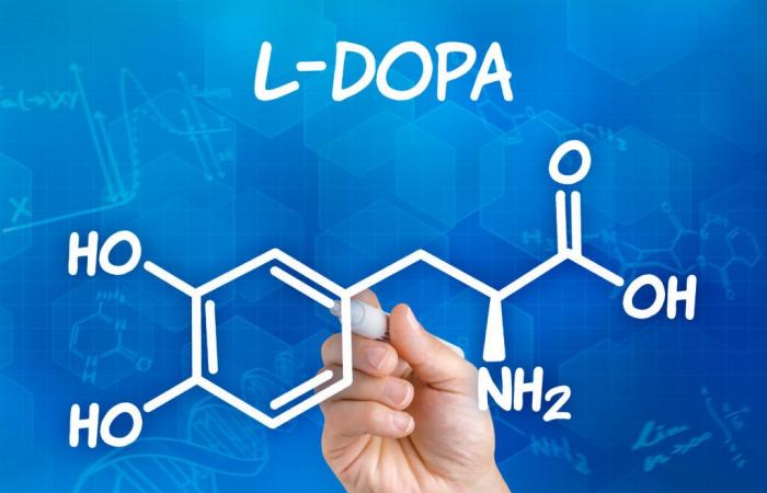 La dopamine (L-Dopa) est-elle également efficace ?