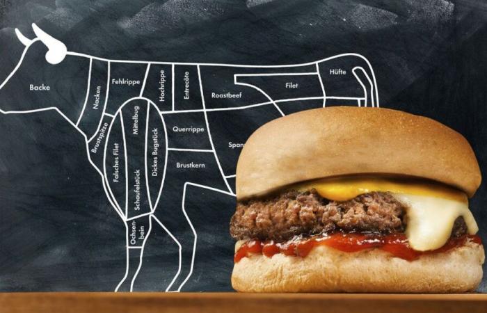 Le succès indéfectible du burger en France