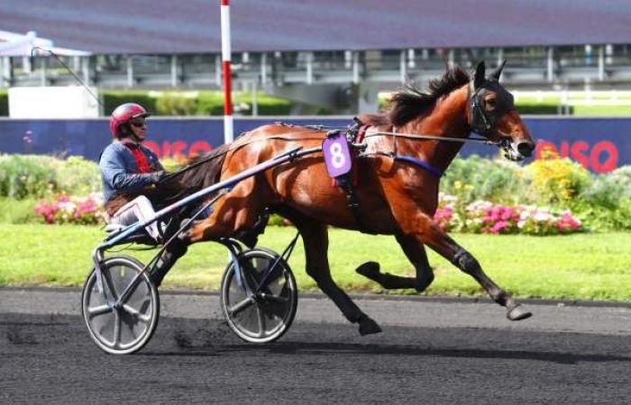 Prévisions PRIX MAINTENON