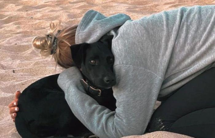 Amalka, la chienne perdue à l’aéroport de Roissy-Charles-de-Gaulle, a été retrouvée