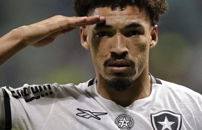 Botafogo, OL : l’année mouvementée d’Adryelson