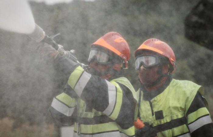 Plus de 1,5 million de décès chaque année sont liés à la pollution causée par les incendies de forêt dans le monde