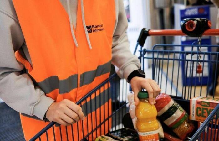 Six camions de la Banque Alimentaire incendiés à Nîmes, causant près de 500 000 € de dégâts