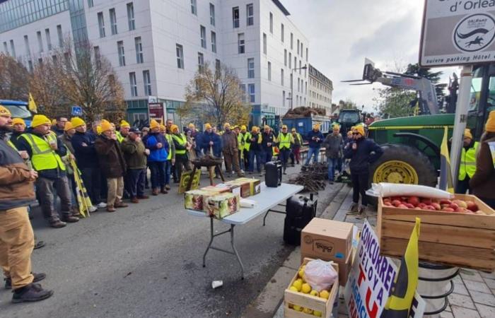 “On n’a rien, ils espèrent qu’on démobilise”