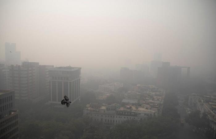 La pollution de l’air due aux incendies est liée à la mort de 1,5 million de personnes par an dans le monde, selon une étude publiée dans « The Lancet »