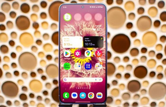 Une certification du Samsung Galaxy S25 suggère que les téléphones ne résoudront pas l’un des plus gros problèmes du Galaxy S24