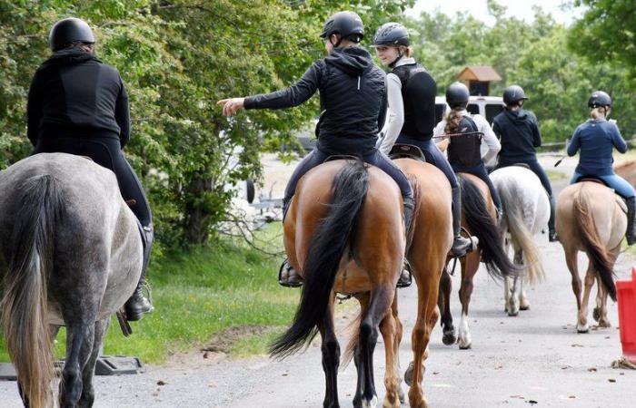 depuis 4 ans, elle parcourt les coins de l’Aude à cheval