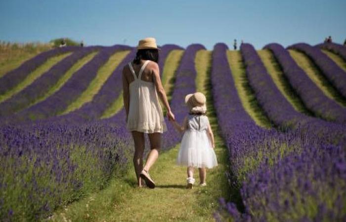 Événements France Bleu Picardie du 2 au 8 décembre 2024