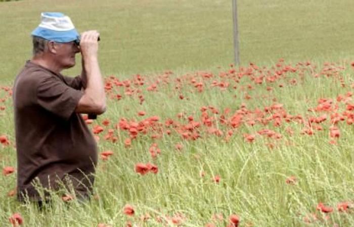 Gégé, un paysan en fuite