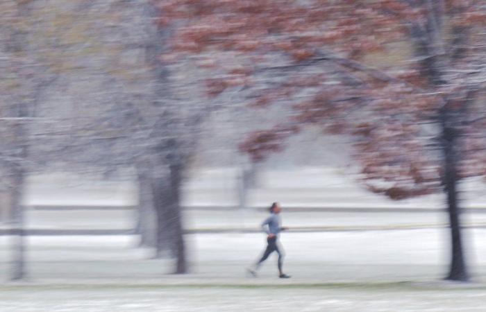 Couvertures de tempête de neige à succès Front Range en blanc