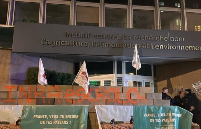 plus d’une centaine d’agriculteurs érigent un mur en parpaings devant INRAE