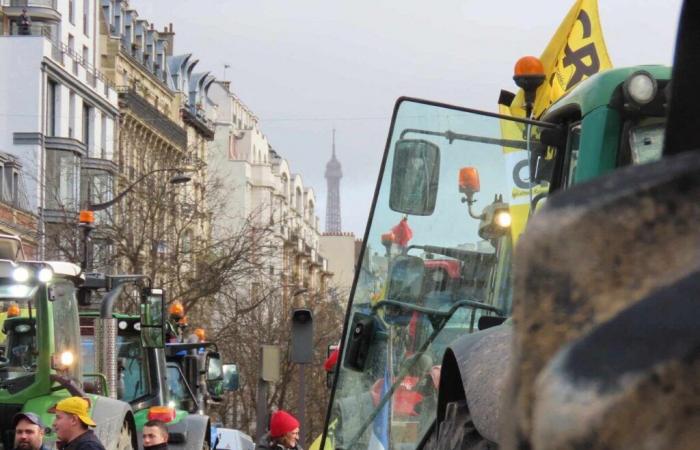 des agriculteurs érigent un mur devant le siège d’INRAE ​​pour dénoncer son inaction