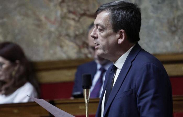 A l’Assemblée, deux députés ont failli en venir aux mains lors de la niche LFI