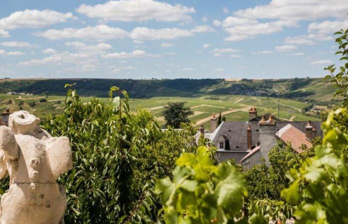 nos adresses préférées sur la route des vins de Loire