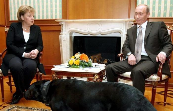 Poutine s’excuse auprès de Merkel pour son chien lors d’une réunion à Sotchi