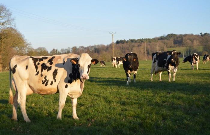 que se prépare le « Vendredi vert » dans la Meuse ?