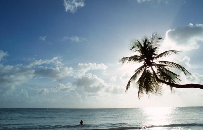 un couple de touristes s’est noyé pendant leurs vacances dans les Caraïbes