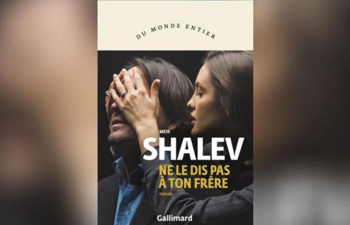 Ne le dites pas à votre frère, par Meir Shalev : Soyez belle et taisez-vous !