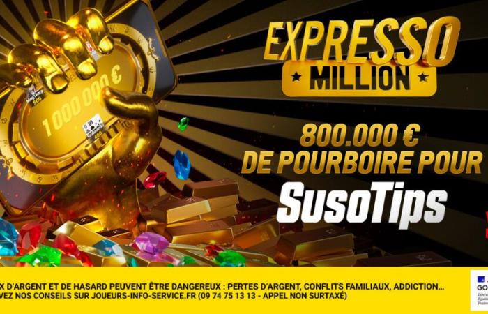 Un pourboire de 800 000 € pour SusoTips – Actualités