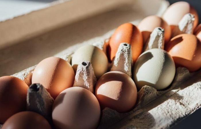 Rappel d’œufs biologiques Costco en raison du risque de salmonelle